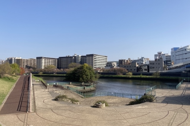 板橋区の公園の写真