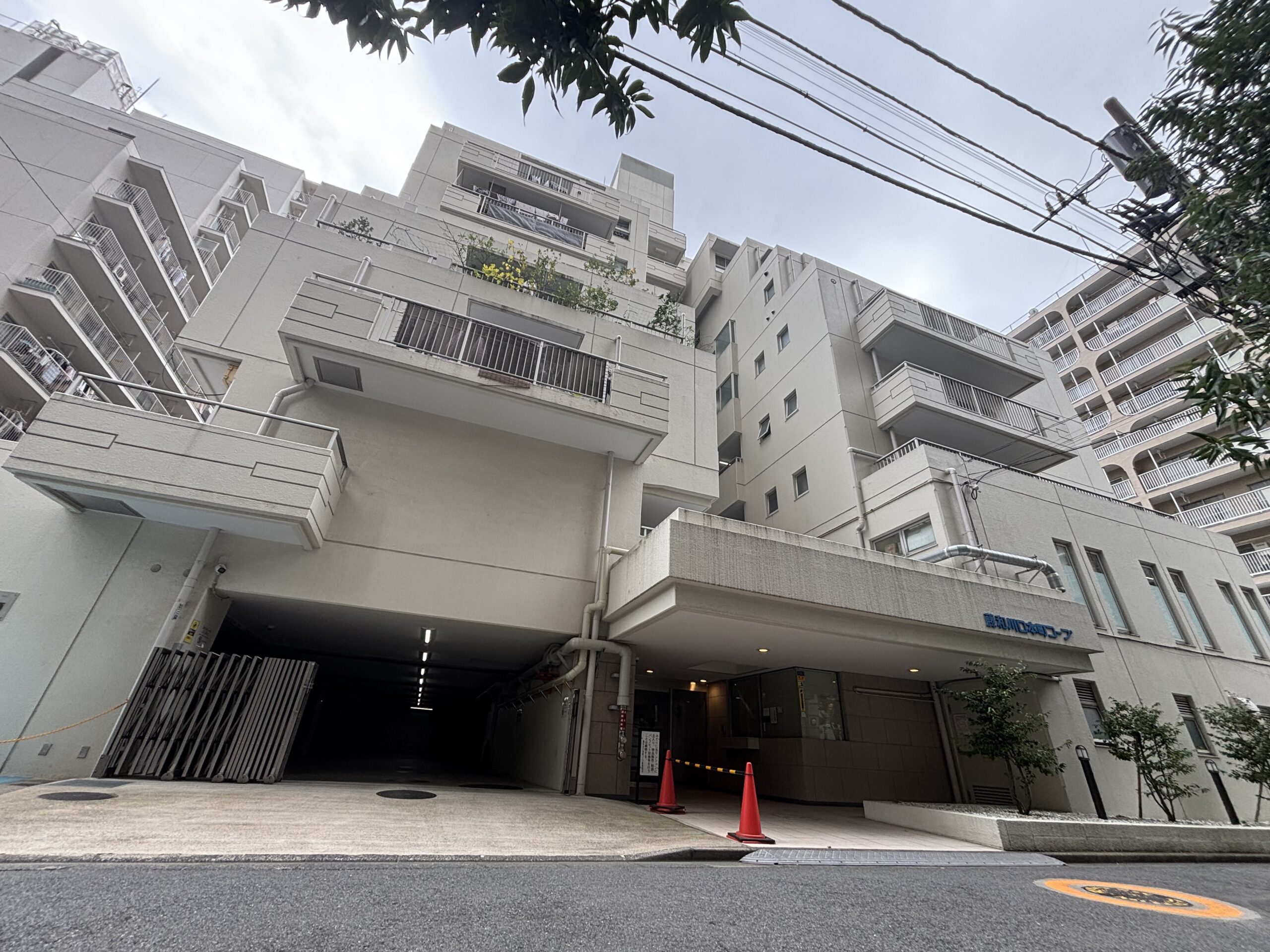 藤和川口本町コープ