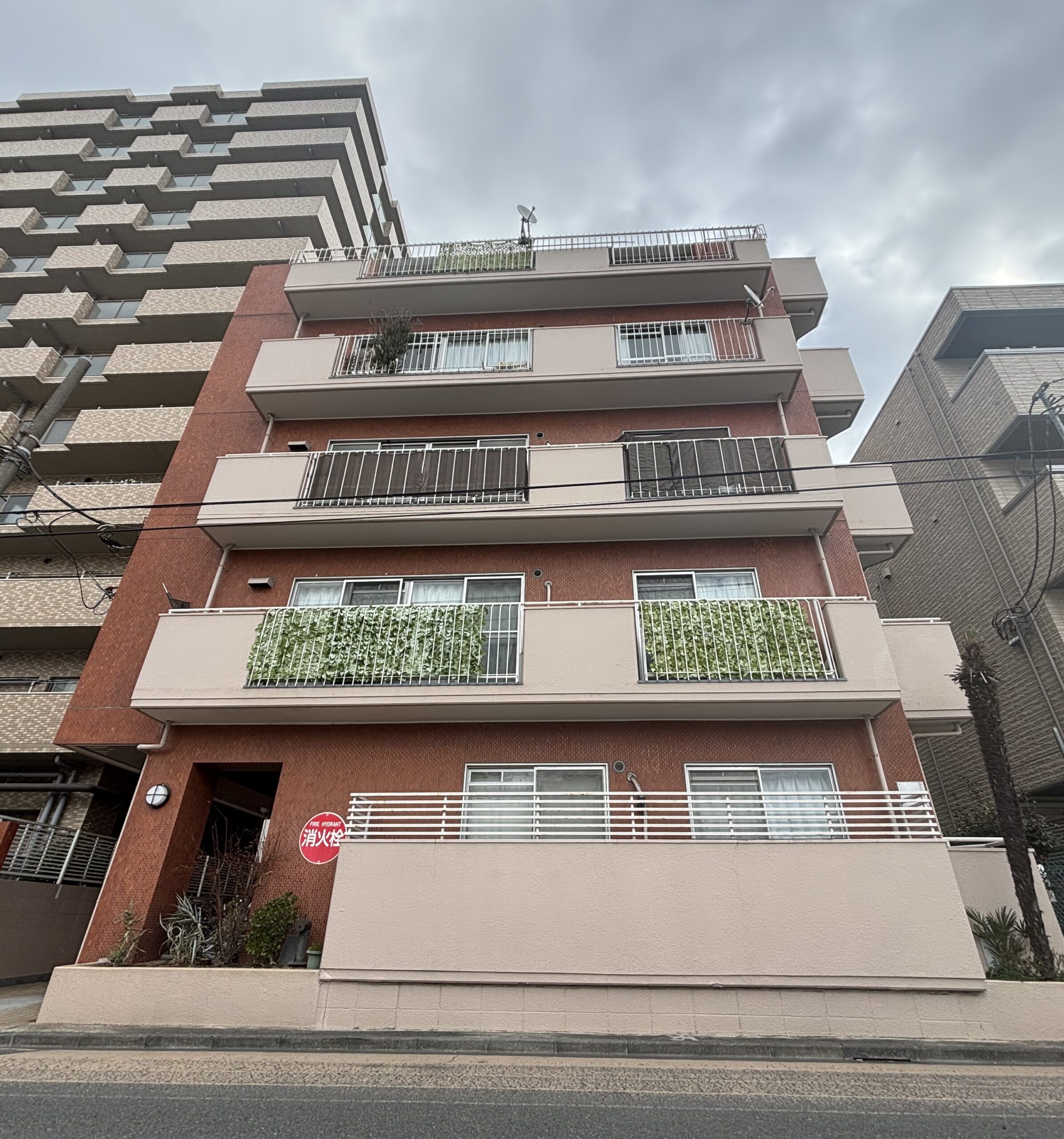 戸田第2コーポサンキョー　No229