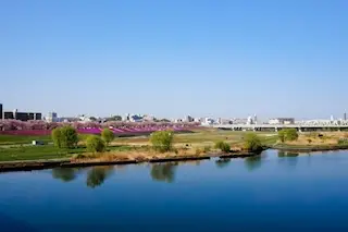 東京都北区赤羽の不動産取引対応地域 - JR赤羽駅・王子駅・田端駅周辺の不動産売買・リフォームエリア
